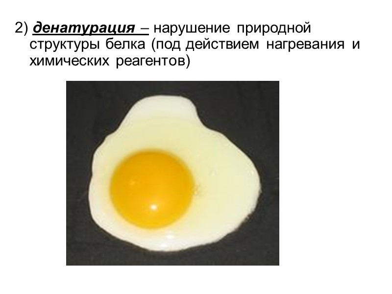 2) денатурация – нарушение природной структуры белка (под действием нагревания и химических реагентов)